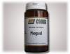 Nopal