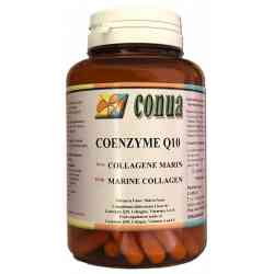 coenzyme q10 ubiquinol benefits