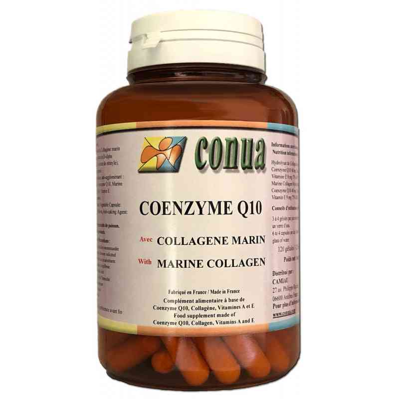 Coenzima Q10 elastina colágeno marino