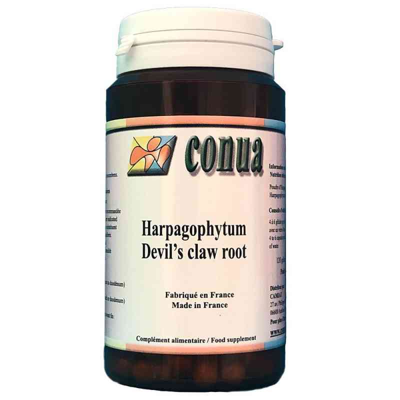 Harpagophytum Arthritis