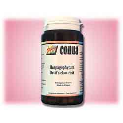 Harpagophytum optimale Dosierung