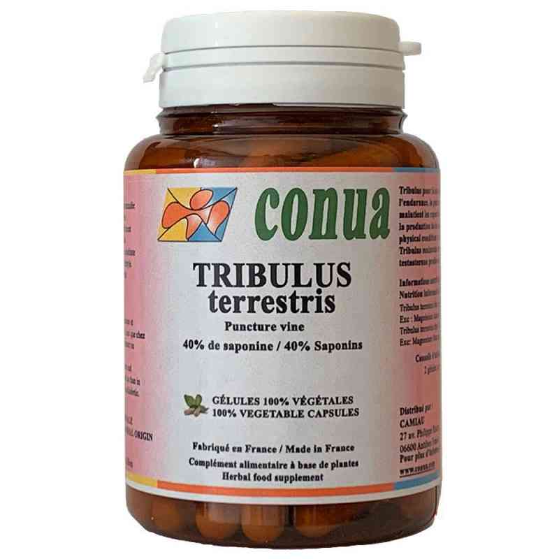 tribulus terrestris dosage advice