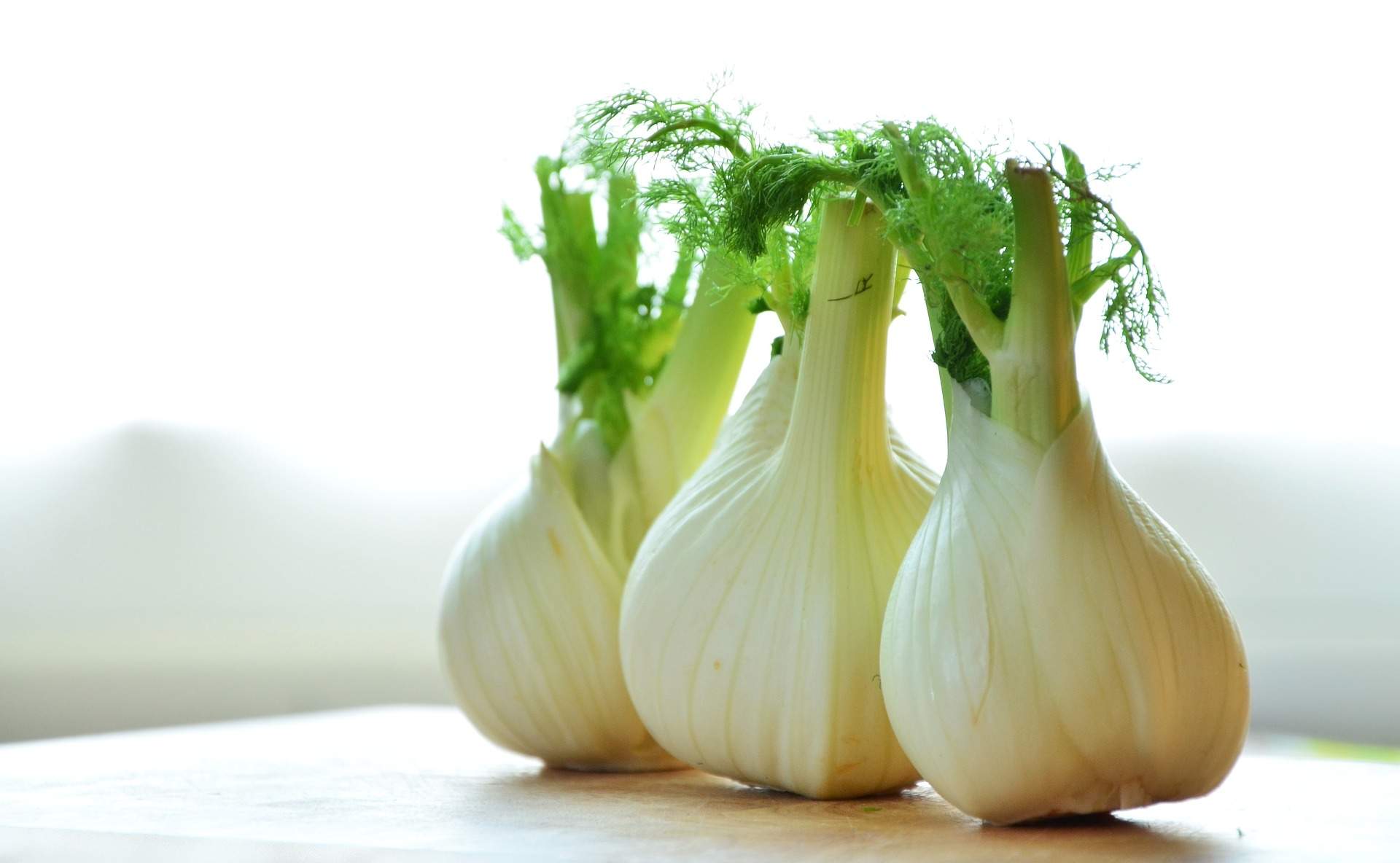 The Benefits of Fennel: Improve Your Digestion!