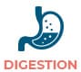 Support digestion